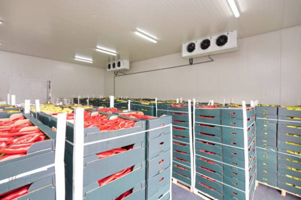 Multipurpose Cold Storage