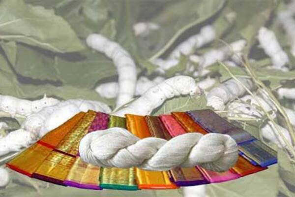 Project Report For Silk Industry