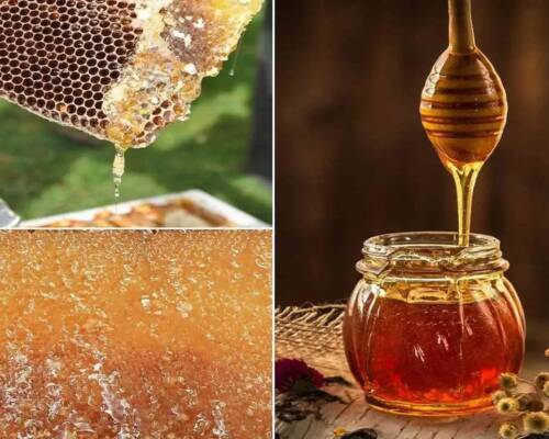 Project Report For honey processing