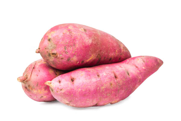 project-report-for-Sweet-Potato